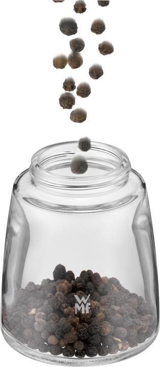 Actual product image WMF deluxe (Salt, Pepper)