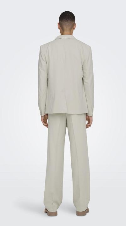 Image du produit Only & Sons Blazer classique (56)