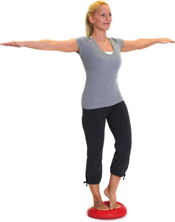 Actual product image Sissel Balancefit
