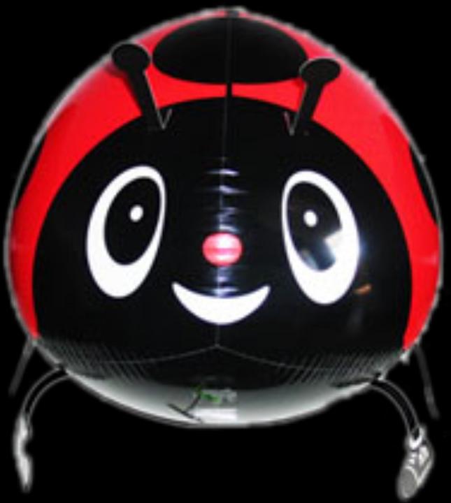 Immagine prodotto Ballon Müller Mini Walker Coccinella 57 cm