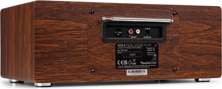 Immagine prodotto Audizio DAB+ Radio Avola Silber, Radio Tuner: FM, DAB+ (DAB, FM, Bluetooth, WiFi)