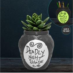 Produktbild Paladone Products Disney - L'Étrange Noël de monsieur Jack - Pot à Crayons et Plantes Deadly Nightshade