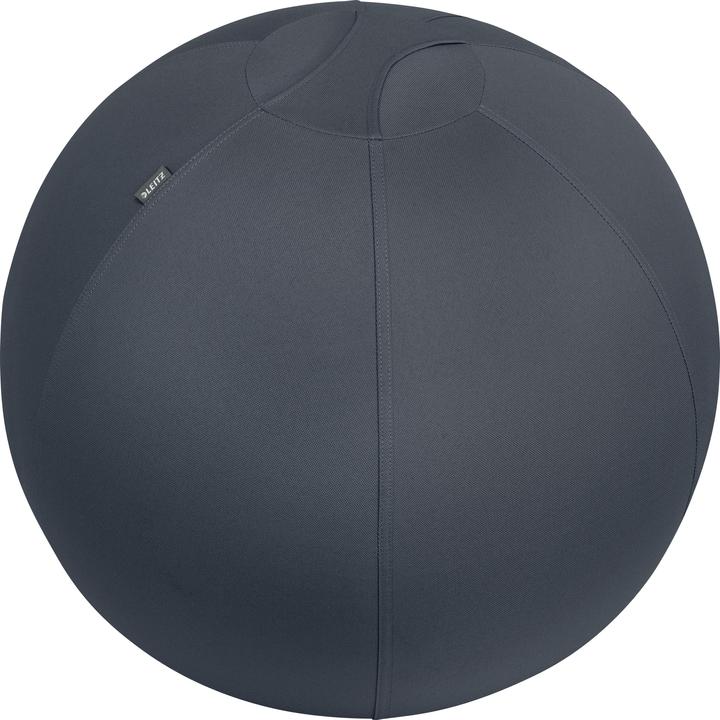 Leitz Ergo Cosy Active Sitzball (65 cm)
