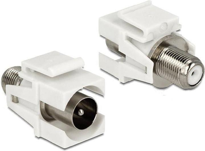 Delock Keystone IEC - F (external - internal) (Antenna cable)