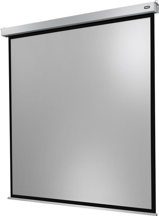 Produktbild Celexon Motor Professional Plus (167", 1:1)