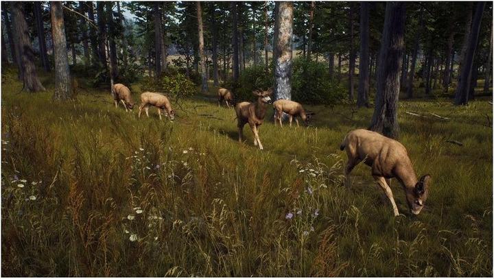 Actual product image THQ Way of the Hunter - Hunting Season One (Xbox Series X, EN)
