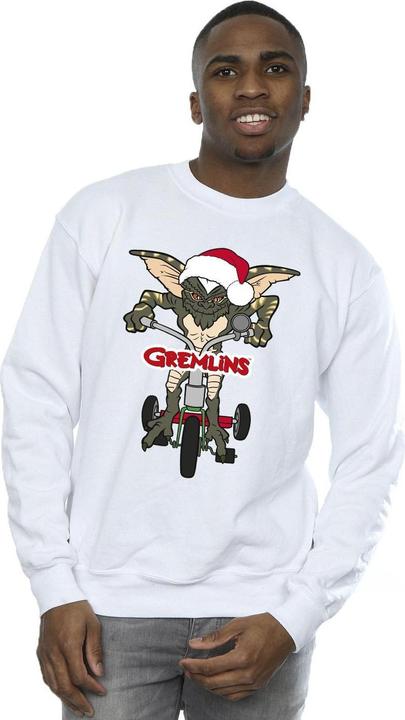 Actual product image Universal Textiles Mens Bike Logo Sweatshirt (XL)