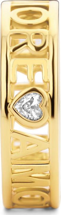 Image du produit Ti Sento Milano Bague Amore avec zirconium plaqué or 12227ZY (56, Argent 925)