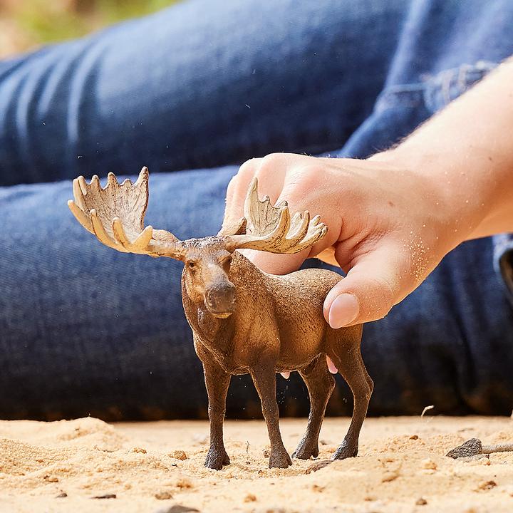Produktbild Schleich Elch Bull