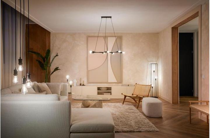 Actual product image Philips Hue Philips Globe G93 Filament (E27, 7 W, 550 lm, 1 x, G)