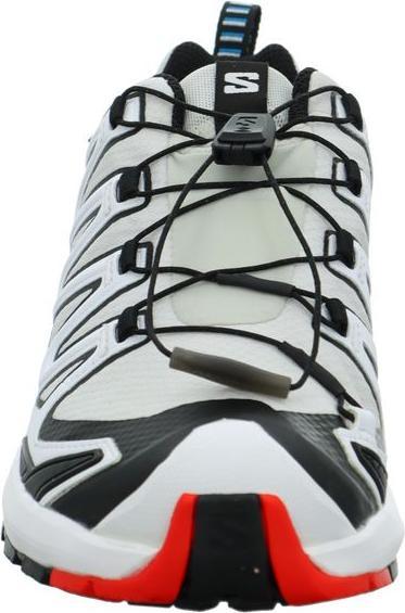 Actual product image Salomon Outdoor shoe XA PRO 3D V9 GTX W Luna (39.5)