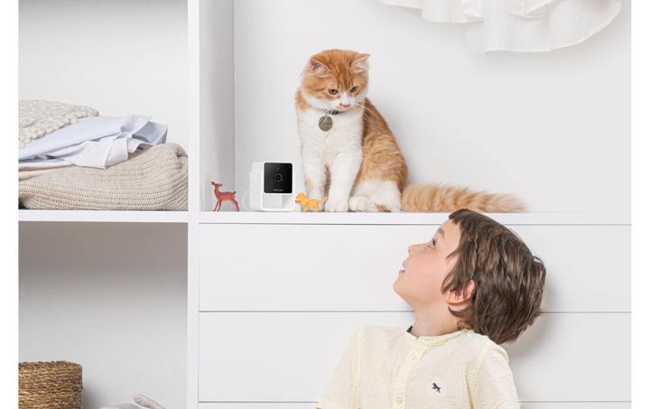 Image du produit Petcube Caméra pour animaux domestiques (Jouets avec herbe à chat)