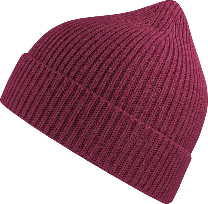 Atlantis Erwachsene Andy Recyceltes Polyester Beanie (One Size)