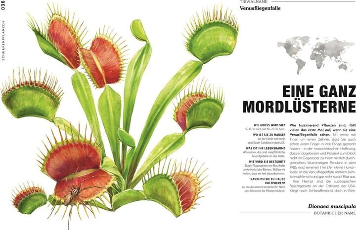 Image du produit Kuriose Pflanzen (Allemand, Michael Perry, Reinhard Ferstl, Éditeur DK, 2023)