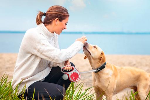 Actual product image Flexi New Comfort belt (L, Dog, Walks)