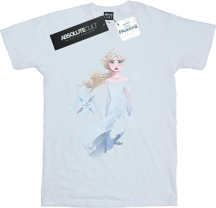 Actual product image Disney Womens/Ladies Frozen 2 Elsa Nokk Silhouette Cotton Boyfriend T-Shirt (3XL)