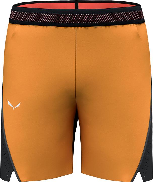 Produktbild Salewa PEDROC 2 DST Herren SHORTS (L)
