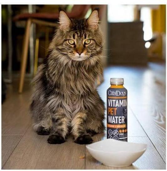 Image du produit Cats Dogs Eau Vitaminée pour animaux (500ml) (Senior, 6 pcs, 3000 g)