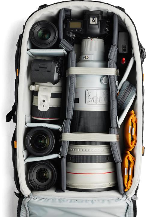 Actual product image Lowepro Pro Trekker BP 650 AW II (GRL) (Photo backpack, 34 l)