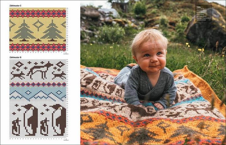 Image du produit Einfach nordisch stricken – Decken, Kissen & Co (Allemand, Linka Neumann, 2022)