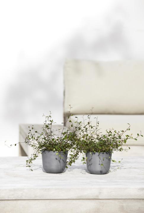 Produktbild Ecopots Oslo Mini (16 cm)