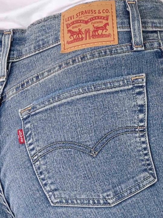Actual product image Levis 10020248 (W24/L32)