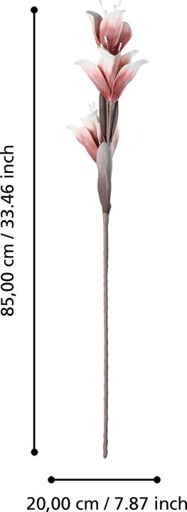 Actual product image EGLO LIVING Molave (85 cm)