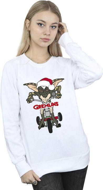 Image du produit Universal Textiles - Sweat BIKE LOGO - Femme (M)