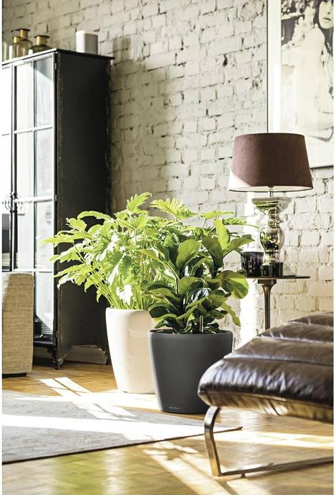 Image du produit Lechuza Classico (36 cm)
