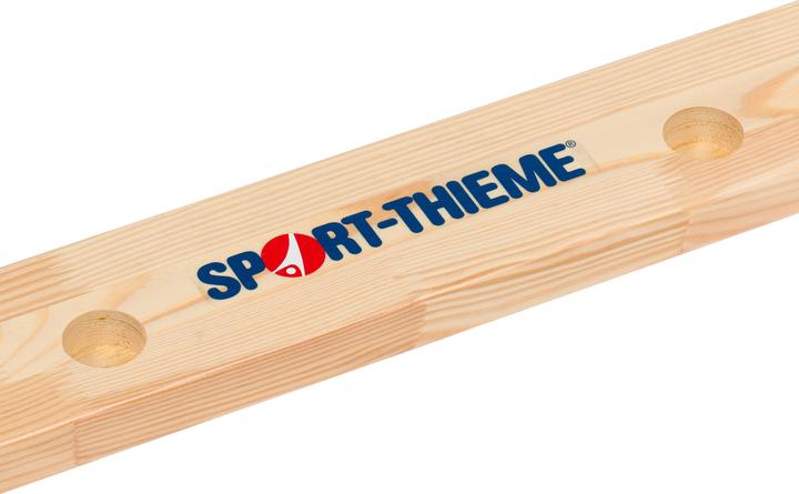 Actual product image Sport-Thieme Wall bars original