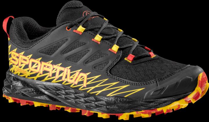 Image du produit La Sportiva Lycan GTX (45)