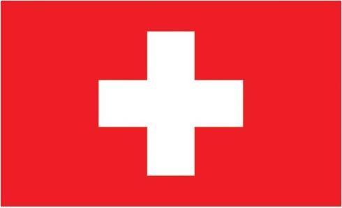 Actual product image Fiesta Large fabric flag Switzerland