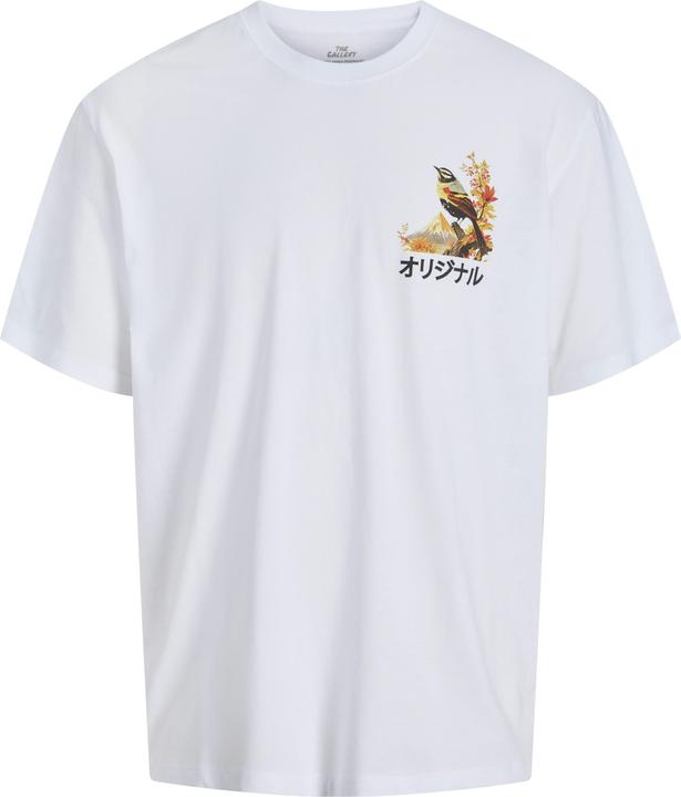 Produktbild Jack & Jones Jorfuji Tee Ss Crew Neck Tg (L)