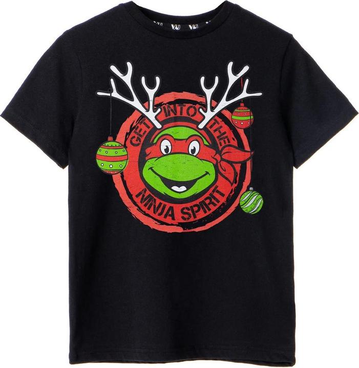 Actual product image Teenage Mutant NT Boys Get Into The Ninja Spirit T-Shirt (146, 152)
