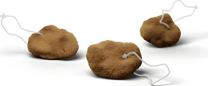Produktbild Hera Organics Menstruationsschwämme mit Rückholfaden (L)