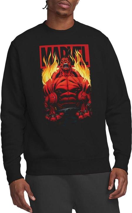 Immagine prodotto Sweatshirt (M)