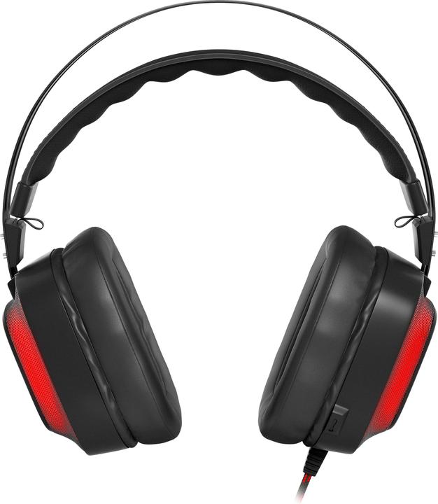 Image du produit Genesis RADON 720 7.1 (Filaire)