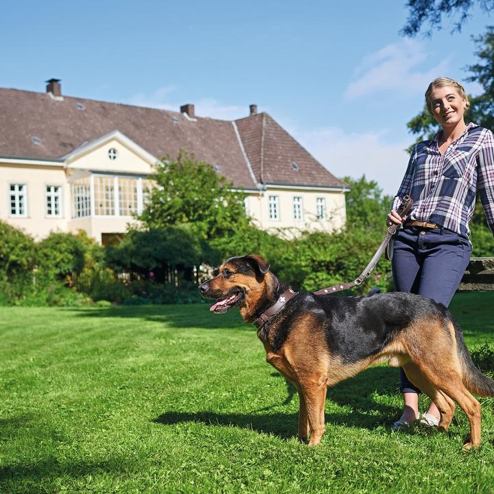 Produktbild Hunter Halsband Swiss Echtleder (47, 48, 49, 50, 52, 54, Hund, Hundesport)