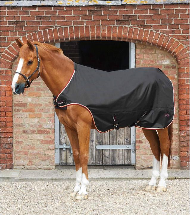 Image du produit Premier Equine 100 g (152 cm)
