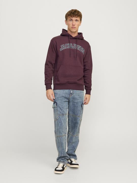 Image du produit Jack & Jones Jjecaleb Varsity Sweat Hood Noos (S)