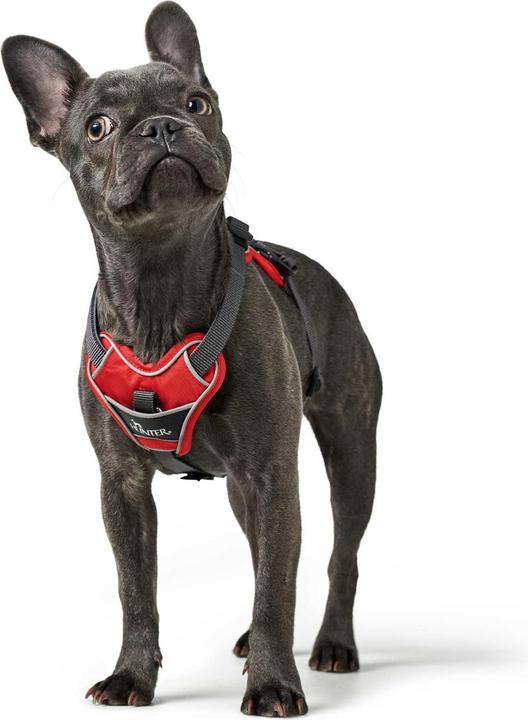 Actual product image Hunter Divo tableware (M, Dog, General)