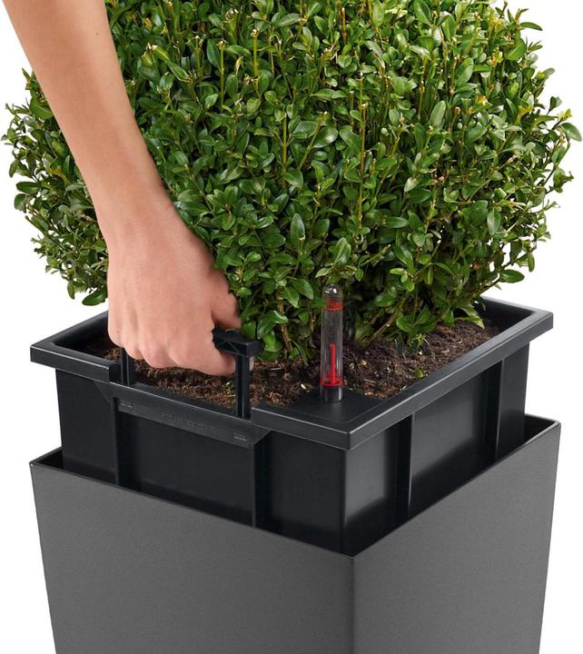 Produktbild Lechuza Cubico 30 (29.50 cm)