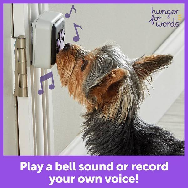 Actual product image Hunger for Words Talking Pet (Dog activity toy)