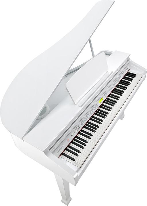 Kurzweil KGA100