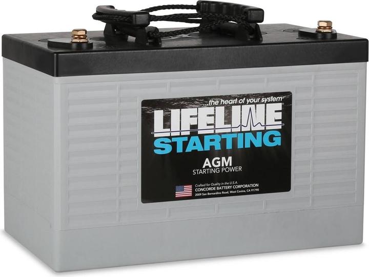 Lifeline GPL-3100T AGM (12 V, 100 Ah)