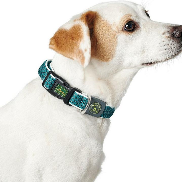 Produktbild Hunter Hundehalsband Hilo Vario Basic (M, L, Hund, Allgemein)