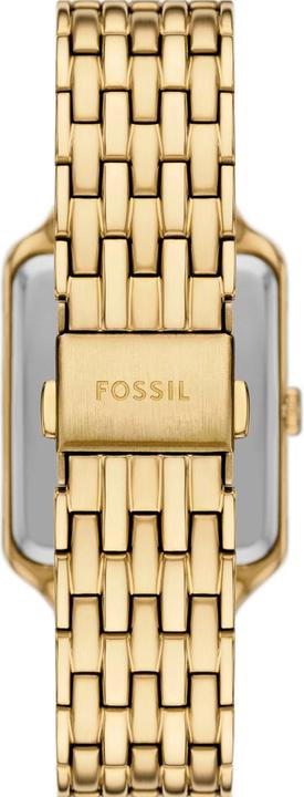 Actual product image Fossil Damenuhr RAQUEL (Analogue wristwatch, 29 mm)