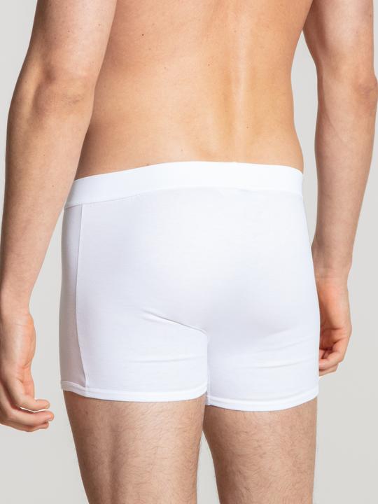 Actual product image Calida Authentic Cotton (XL)