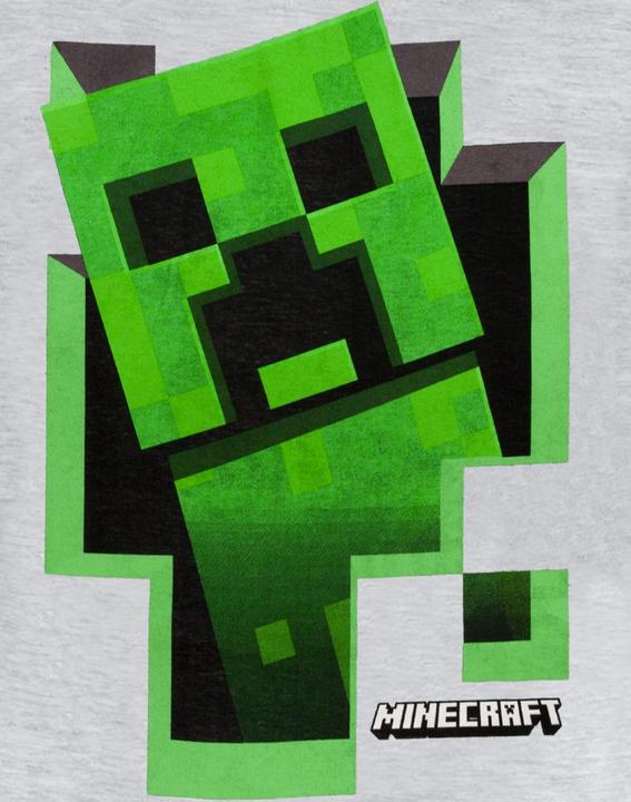 Actual product image Minecraft Inside Tshirt Boys (140)