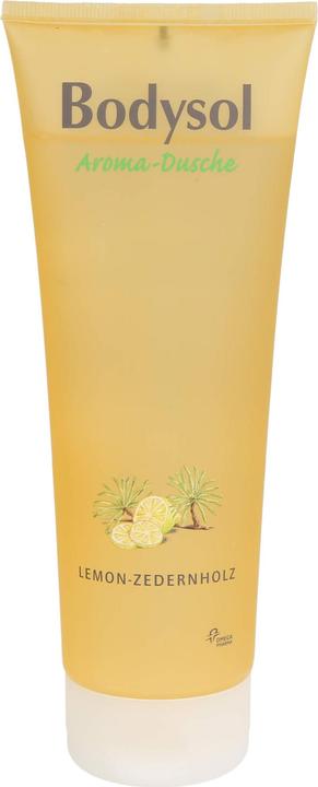 Omega Pharma Bodysol Aroma-Dusche Duschgel Lemon-Zedernholz, 250 ml Gel (250 ml)